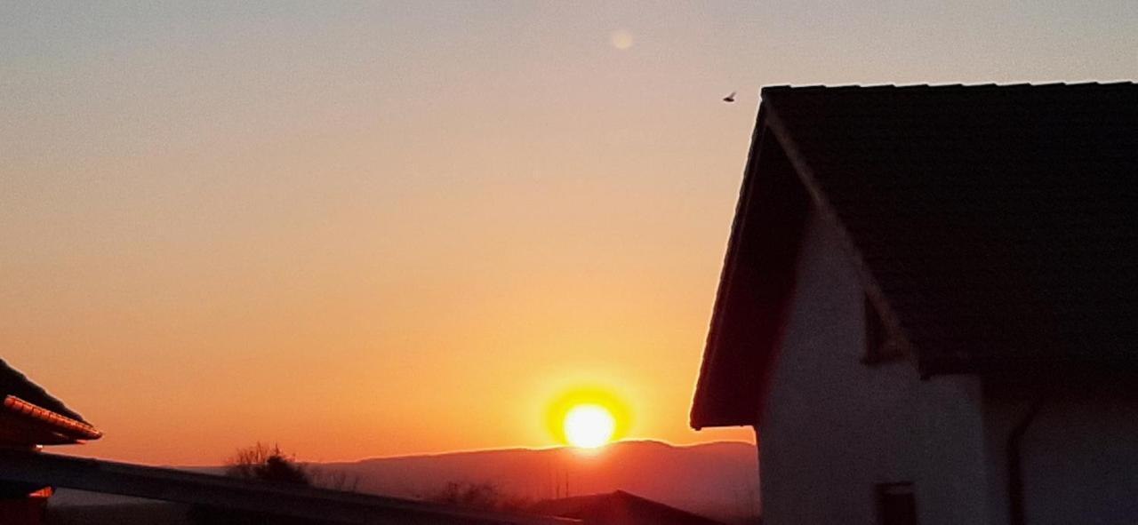 Ferienwohnung Gutowski Andernach Kültér fotó