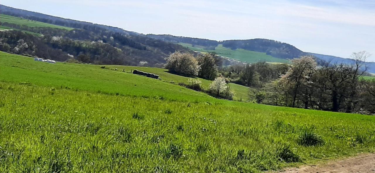 Ferienwohnung Gutowski Andernach Kültér fotó